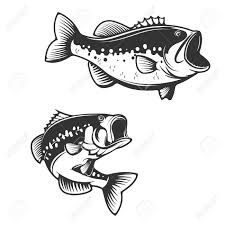 Sea Bass Fish Silhouettes Isolated On White Background Design Royalty Free Cliparts Vectors And Stock Illustration Image 61039014 Bridegroom wedding invitation silhouette, the couple, man and woman kissing graphic stencil png clipart. sea bass fish silhouettes isolated on white background design