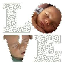 Have you ever heard of mycelium? This incredible underground web of fungal  threads acts like nature's very own support system for plants, connecting  them much like the internet does for us. When