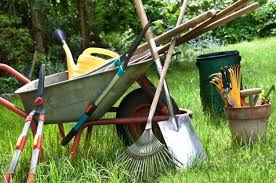 6 Essential Garden Tools – Learning with Experts