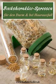Pin Auf Heilpflanzen Krauter Und Co