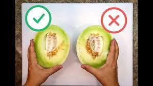Honey Kiss Melon Information And Facts
