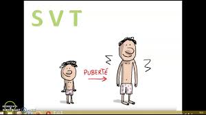 Les médias sociaux sont devenus indispensables à une bonne stratégie marketing. Svt 5eme C Est Quoi Les Regles Youtube