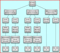 British Cardiovascular Society