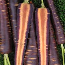 15 things you didn t know about your favorite foods colorful carrots purple carrot carrots
