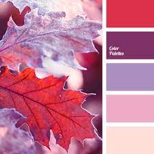 Color Palette 2511 Red Colour Palette Color Balance Color Palette