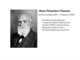 Pavlov's dog subjects were responding to the sight of the research assistants' white lab coats, which the animals had come to associate with the presentation of food. Ivan Petrovich Pavlov Prezentaciya Onlajn