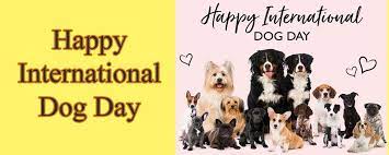 I've heard the phrase it's a doggie dog world but what does it mean? Top 20 International Dog Day Quotes Dog Wallpapers Dog Quotes In 2021 International Dog Day Dog Quotes Dog Days