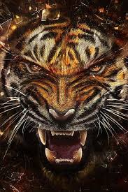 Wallpaper Iphone Tiger Best 50 Free Background