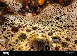 Close up of froth bubbling over brown pebbles on the beach, Kent England  Stock Photo - Alamy