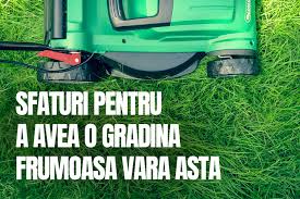 Iarba de grâu are două avantaje. Sfaturi Pentru A Avea O Gradina Frumoasa Vara Asta Blog Scule Si Echipamente