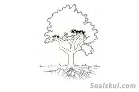 Tes menggambar orang dan pohon. Contoh Tes Menggambar Pohon Dalam Psikotes Soalskul