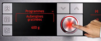 Type De Programmation Four Modes De Cuisson Automatiques