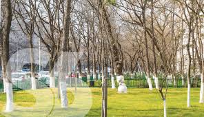 See more of reabilitare termica sector 6 on facebook. Gabriel Mutu Primarul Oamenilor Voi Continua Reabilitarea TermicÄƒ A Blocurilor Din Sectorul 6