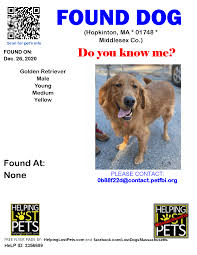Petamberalert.com® is the only lost pet finder system using phone and fax broadcasts to help lost pets find their way home quickly. Hopkinton Ma Lost Found Pets Home Facebook