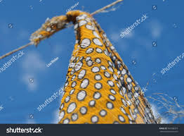 Photo & Image Portfolio by Lisa Weiler