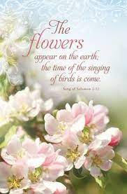 Pin By Kimberly Willis On Cottage In Colors Song Of Solomon Word Of God Flowers