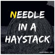 Needle In A Haystack Idiom Idioms Movies Movies And Tv Shows
