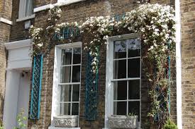 How quickly does clematis montana grow. Clematis Montana Landscape Architect S Pages