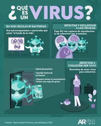 Amelia Rueda - ¿Qué es un virus? Le contamos en esta... | Facebook