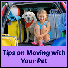 Check spelling or type a new query. Double Click The Photo To Learn Ways To Deal With Your Pets When You Move Houses Moving Home Over A Long Distance Travel With Kids Dog Travel Summer Road Trip