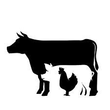 Chicken pork cow farm animals vector. Stacked Farm Animals Svg