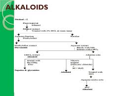Additionally, alkaloid extracts obtained from the plant residue after phenolic extraction exhibited a content of tetracyclic and pentacyclic alkaloids ranging between 95 and 275 mg/100 g of dry material for bark extracts, and between 30 and 704. Physical Chemical Analysis Isolation Methods For Various Phyto Constituents By Priyanka Goswami Ppt Video Online Download