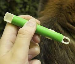 Never dig around in the skin to remove the remainder of the tick, as this can actually increase the risk of skin infections. How To Get A Tick Out Of A Dog Common Myths And Foolproof Methods