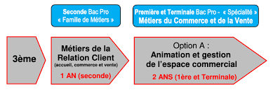 Bac Pro Mcv Option A Lpo Curie Corot Saint Lo