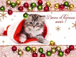 RÃ©sultat de recherche d'images pour "bonne annÃ©e chat"