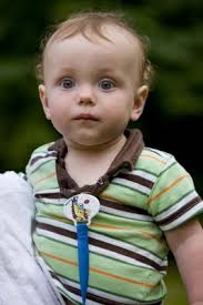 degroot_2008 Photo Gallery by Joel at pbase.com