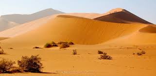Some impressions from our last namibia trip. Namibian Desert Photos 32 Images From The Namib Desert Indagare