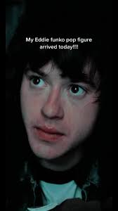 Stranger Things Funko Pop Eddie and Dustin