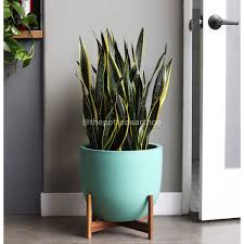 Shop hanging terrariums, nest planters, and bud vases at uo. Extra Large Teal Blue Gobi Plant Pot And Plant Stand Mid Century Modern Planter Modern Planters Planters