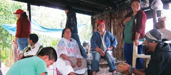 Dia internacional de los pueblos indigenas animado. Pueblos Indigenas Construyen Sus Casas World Habitat