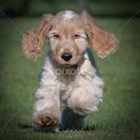 Stock Image Search Results