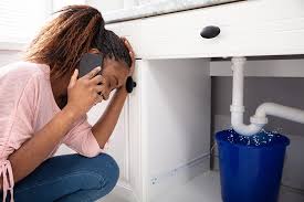 How to Find the Right Plumber - Seun Kuti Blog