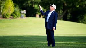 Videos mariam olivera the Savior Faire Genie in a bottle