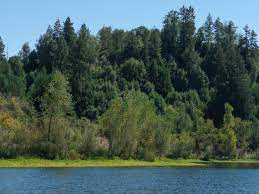 The lakes are reclaimed gravel pits transformed into beautiful settings for kayaking and fishing. Riverfront Regional Park Sonomacounty Com