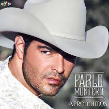 Pablo montero lyrics with translations: Pablo Montero Aprendimos Lyrics And Songs Deezer