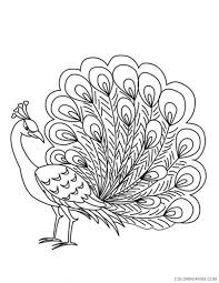 Download & print these free original peacock coloring pages exclusive to kids activities blog! Printable Peacock Coloring Pages Coloring4free Coloring4free Com