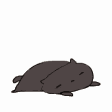 Maybe you would like to learn more about one of these? Cat Transparent Gifs Tenor