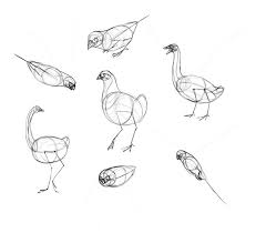 Ideas for using our templates use for traditional template tracing: Sketchbook Original How To Draw Birds Monika Zagrobelna