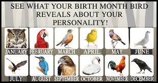 Did You Know Each Month Has A Bird Associated With It Just Like Birth Stones Birth Month Birds Can Reveal Birth Month Bird Month Animals Birth Month Symbols