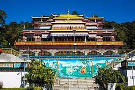 A list of state trees of india is given below. Sikkim Wikipedia