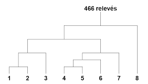 Image result for Cryptolepis cryptolepioides