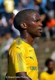 South Africa's world cup performance prediction