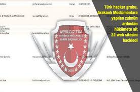 Ayyıldız Tim Myanmar ı hackledi Son dakika Dünya Haberleri