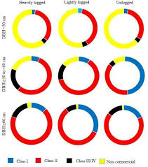 Image result for Lasiodiscus pervillei