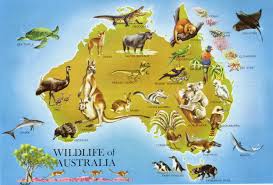 Wildlife Of Oz Australia Animals Australia Map Wildlife Of Australia