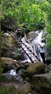 Find 4,748 traveler reviews, 65 candid photos, and prices for 35 hotels near santa emilia in danli, honduras. Finca Santa Emilia Outdoor Waterfall Water